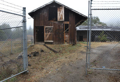 Did the City of Scotts Valley Pull a Rabbit out of their Hat in Voting to Demolish Polo Ranch Barn?