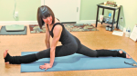 Shannon McQuaide Yoga (Skinny Yoga LLC)
