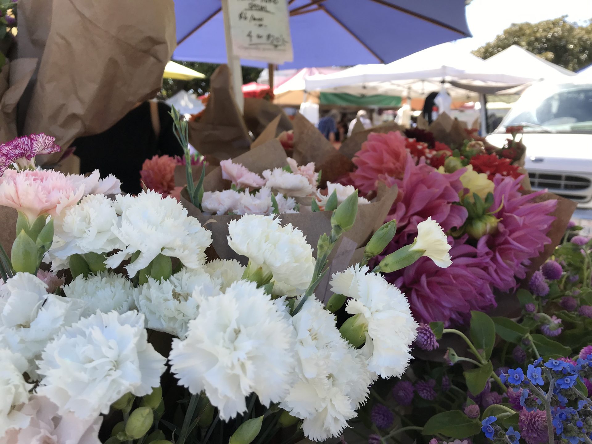 Scotts Valley Farmers Market to Open June 6th, 2020