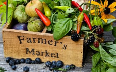 Peak Season Arrives at Scotts Valley and Felton Farmers’ Market