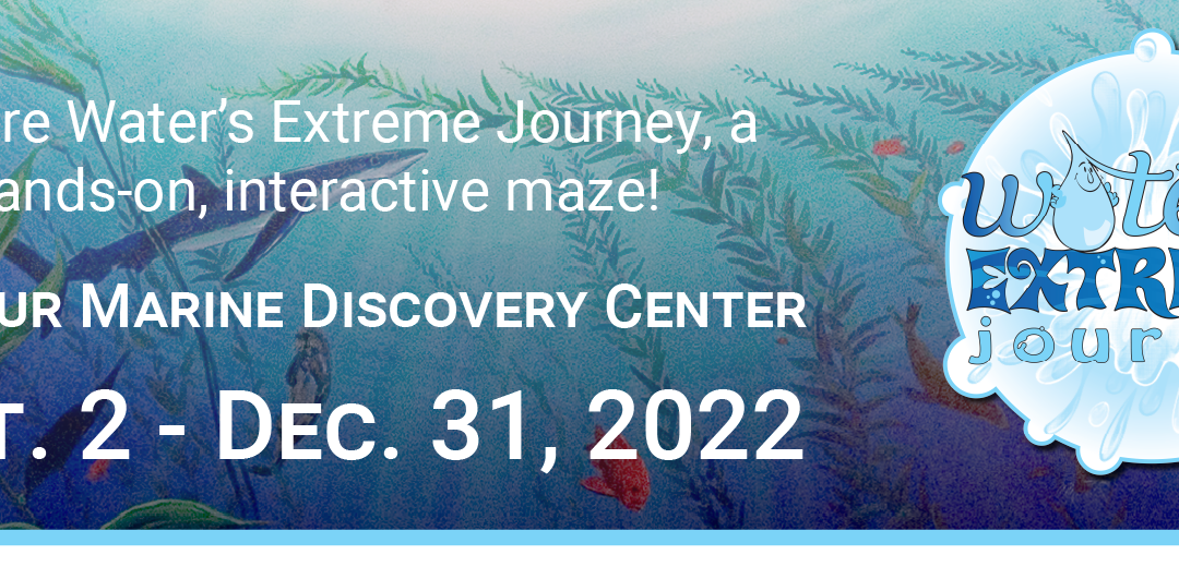 New Water-Focused Extreme Role-Playing Exhibit Opens at Seymour Marine Discovery Center
