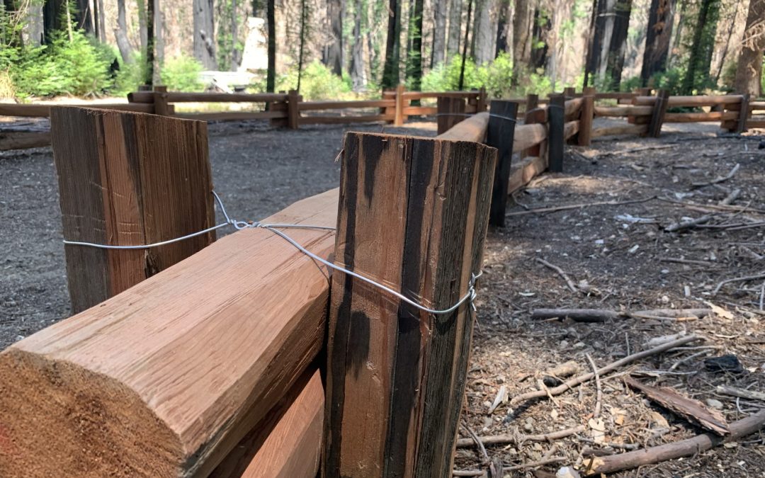 Teamwork, Ingenuity Helps Mend Literal Fences at Big Basin Redwoods State Park