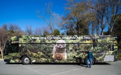 Metro Rolls Out New “One Ride at a Time” Wildlife Buses in 2024